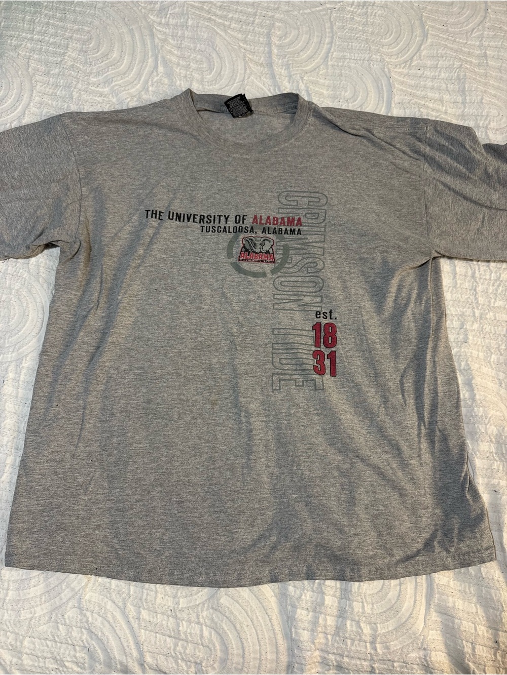 STARTER Gray Short-Sleeve Graphic Tee with Red Accents
